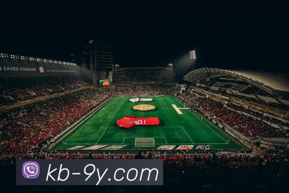 九游官网APP 封面图